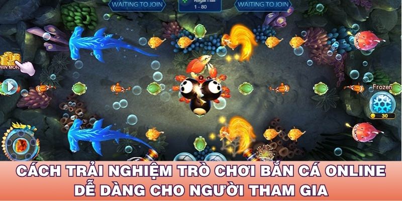 Cách trải nghiệm trò chơi bắn cá online dễ dàng cho người tham gia