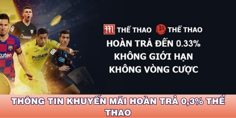 Thông tin khuyến mãi hoàn trả 0,3% thể thao